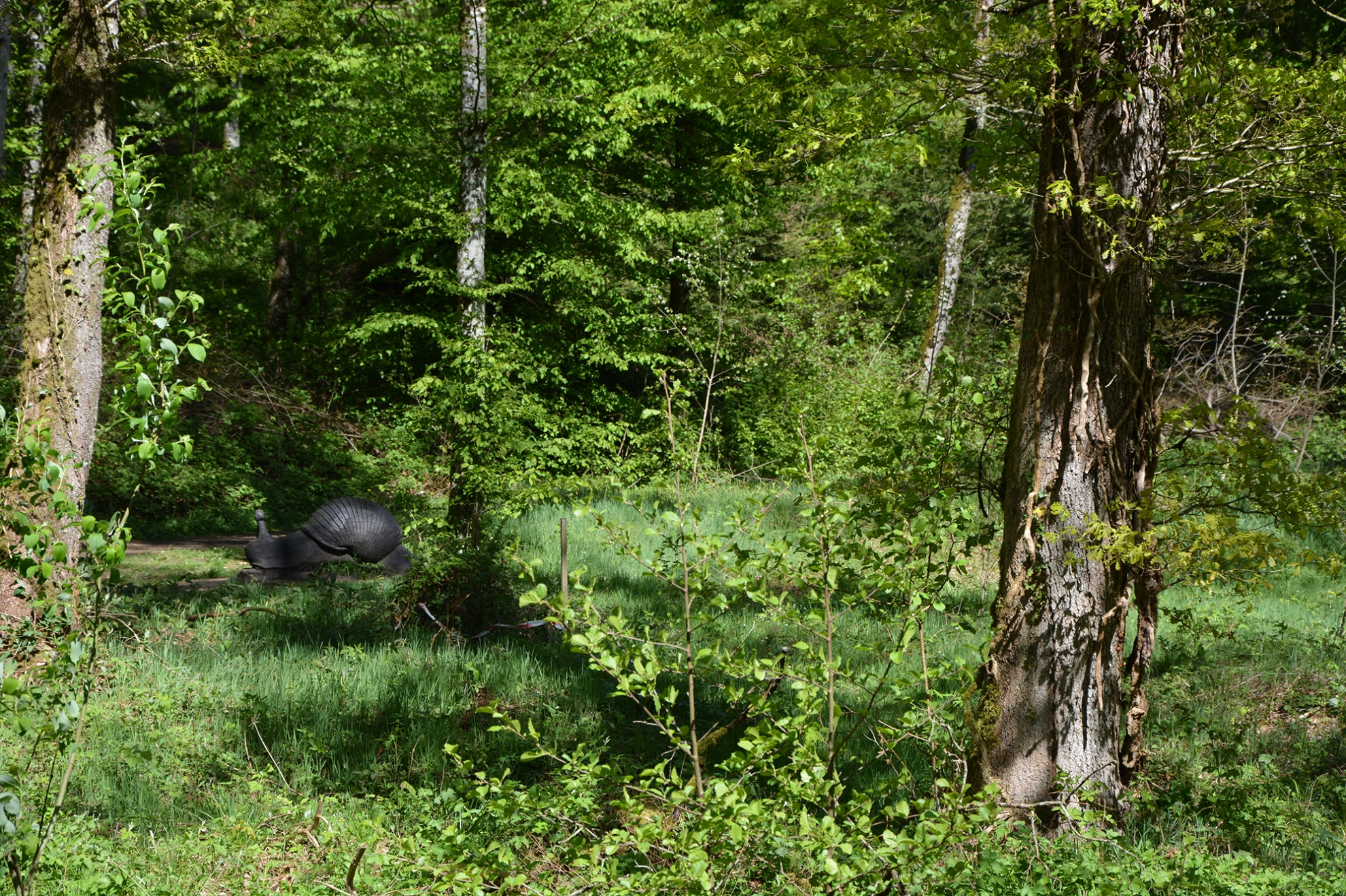 Chalet l'Orvallée - bois Virton